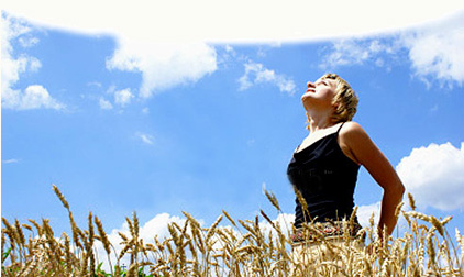 Synergy Blends products include probiotics, multiple vitamins and minerals.